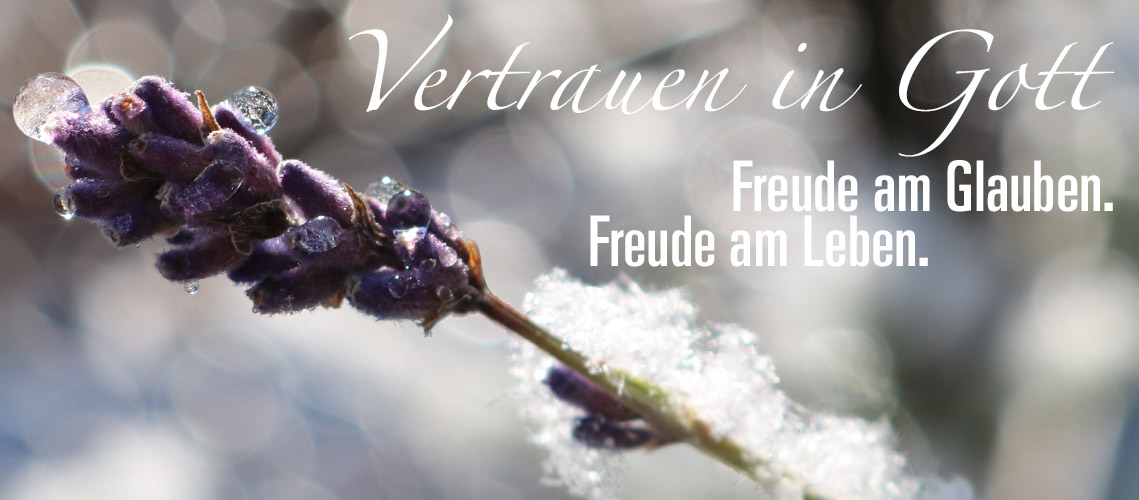 Programm Februar in der Erlöserkirche Katholische Kirche Vorarlberg