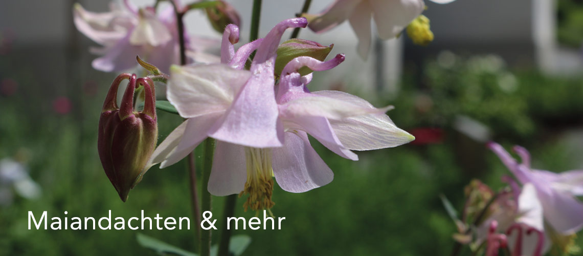 Programm Mai in der Erlöserkirche Katholische Kirche Vorarlberg